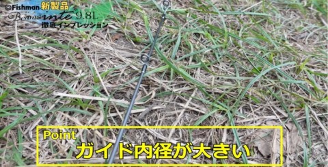 tv5emkw8ggsjc7h59y63_480_480-0b36b5c5.jpg