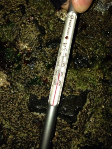 tvgh8p48ophhk22fjtvj_690_920-db21cab2.jpg