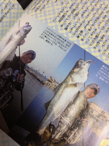tvvs6c37ukkcsumks3mr_690_920-61b03de3.jpg