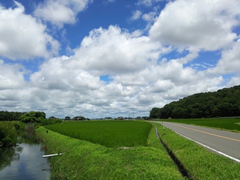 twe2gziydehvt3bp944m_920_690-1128c9d7.jpg
