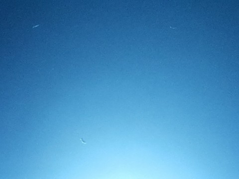 twgx5fcmsxkfxkpa9w3g_480_480-67c089f6.jpg
