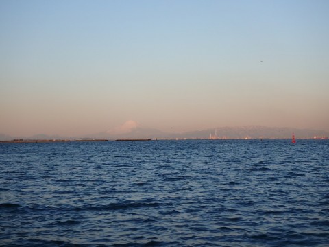 twnbtiunvwd7y48mgo49_480_480-69d526de.jpg