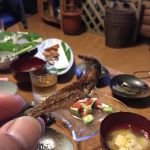 twuj72c3b333kkv8zwkr_920_920-09c99f21.jpg