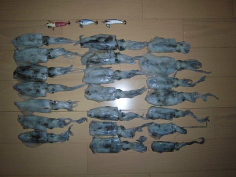twzfb9y6sbtjb2nhdi7o_480_480-00d6c9b0.jpg