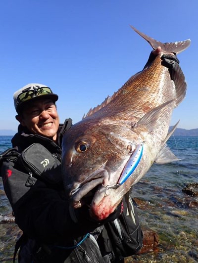 DAIWA SWチーム】 バーティスSTRONGがリリース