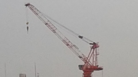 txd8nyf5p24cmziz6f4i_480_480-cf0093db.jpg