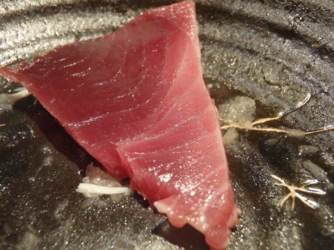 txpdyys8cai9agryp5n3_480_480-66d03e6e.jpg