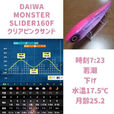 txzdgd4o6fsth9gsj6d8-ada144dd.jpg