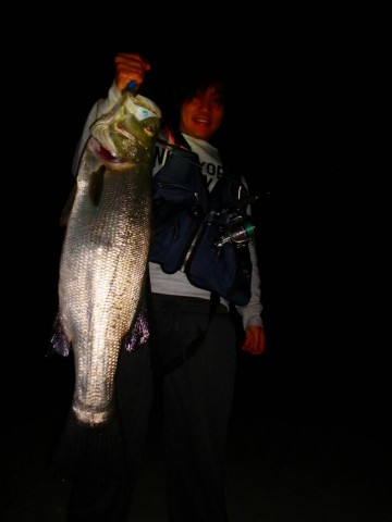 ty5yaku6ck67x798ad4z_480_480-ec8b9a9c.jpg