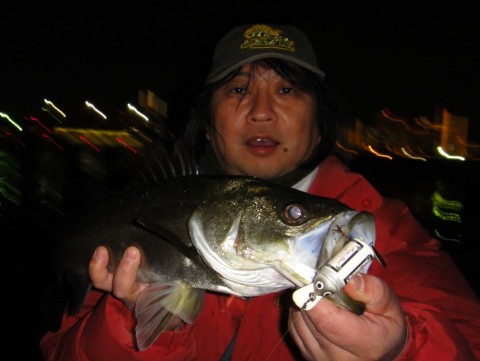 ty99xtsw627f269xffod_480_480-55103f08.jpg