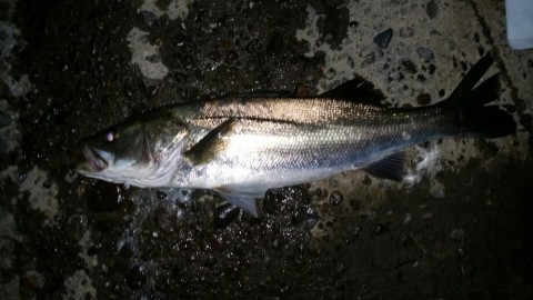 tyipsbefj9o4s37r96ux_920_518-6277c045.jpg