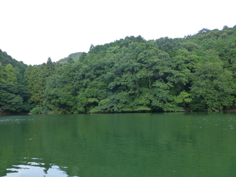 tyushje6eayhsx4n9ass-ed08370e.jpg
