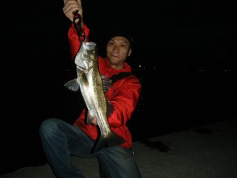 tyzvdpogx7hhi2469uke_480_480-85bb3022.jpg