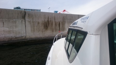 東京湾　アジ釣り