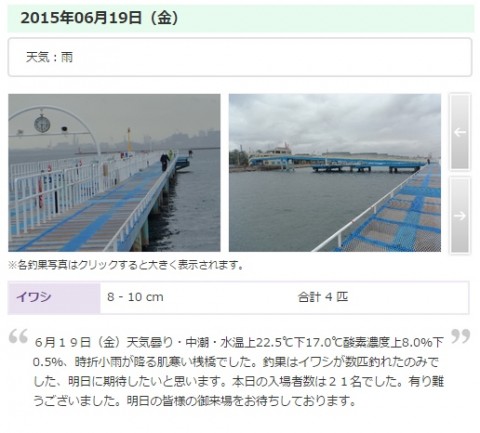 tzgk644ba72ymty8ea89_480_480-acb13b57.jpg