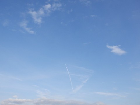 tzmkyw2j9pto4tkwv8yh_480_480-7b71141f.jpg