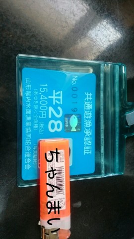 tzo6odx8d6457yhnekee_518_920-f66956eb.jpg
