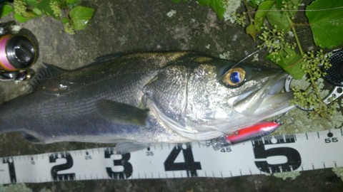 tzvdmruatu8zif9k46zz_920_517-91224398.jpg