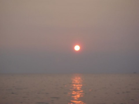 tzyj5hsg7u77exgtgp7h_480_480-08810dfe.jpg