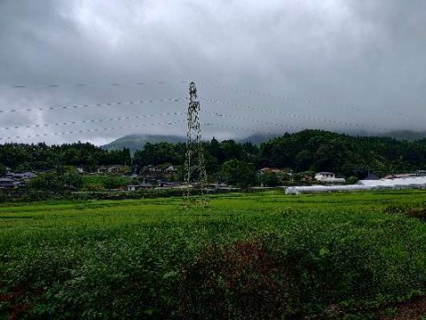 tzzb57gdd8b72cobd6y5_480_480-c24a4ad9.jpg