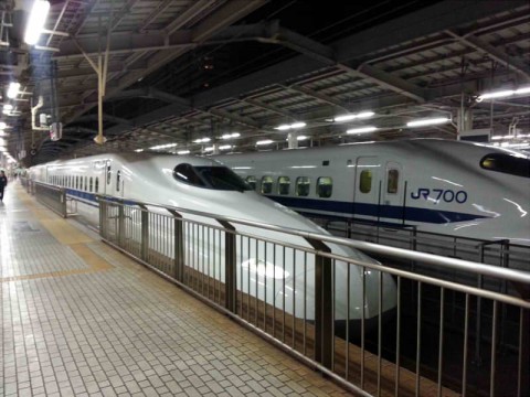 u2pakmw49h597kcenim7_480_480-9139f7c7.jpg