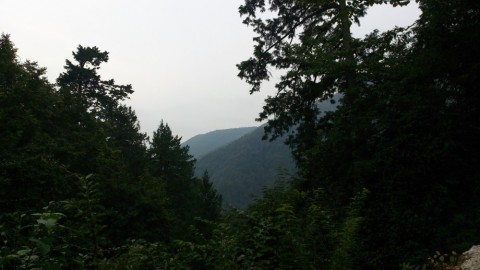 u2sh96ryu588za92tuzy_480_480-b1903d09.jpg