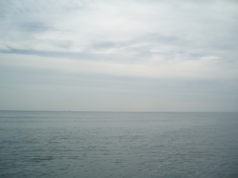 u2w99e8ypkptrd5g7vi8_480_480-7ea4bc4b.jpg