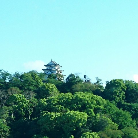u34mjuz8ozfxmu6of36g_920_919-ac01360f.jpg