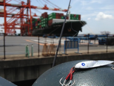 u37ki6y5ytckf2dpw2vn_480_480-ada33956.jpg