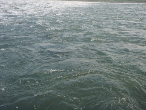 u3b6jc2izsj5464xmh3d_480_480-c779aa00.jpg
