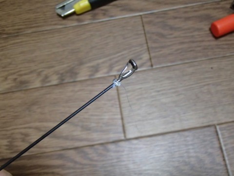 u3b7xsck69pfuga9h6af_480_480-b5115118.jpg