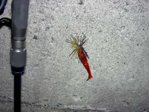 u3bd5udp88or38smnos8_480_480-131c29f3.jpg