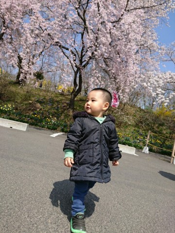 u3kybuk7793gd47eu94i_690_920-256722c7.jpg