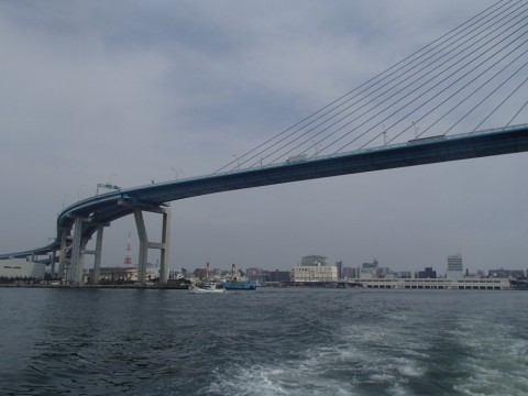 u3u6r5ikjgm488dkbss3_480_480-4af814a7.jpg