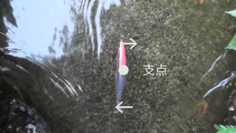u45km7xc465gu69nyj4o_480_480-70c0822b.jpg