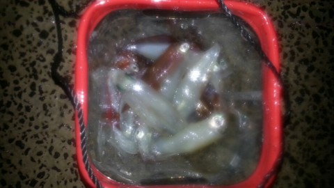 u4d9k548a62tsvz8zxiu_920_518-9f8d7c78.jpg