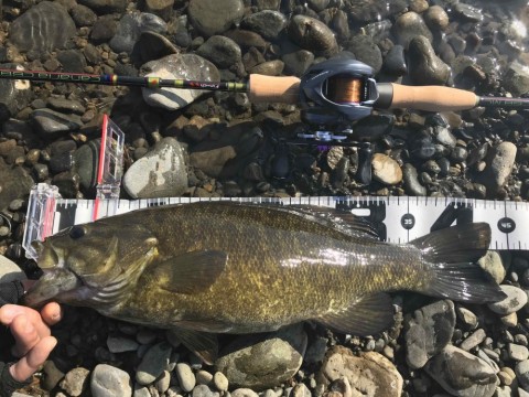 ベイトで陸っぱり】 カナリア68MLインプレ