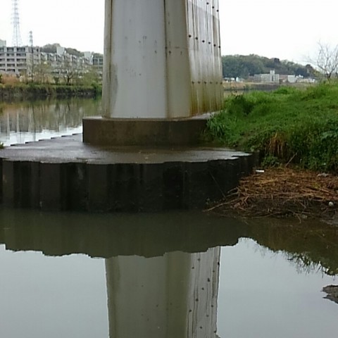 u4k84df4mn8vfzs3stuu_920_920-ef760046.jpg