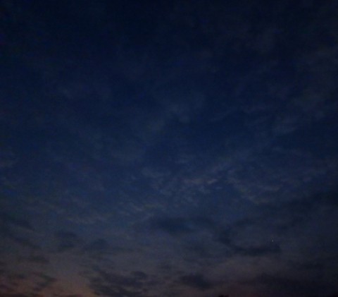 u4nt8efecbfuu2tg69jc_480_480-ccaa1e03.jpg