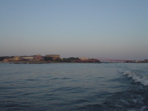 u4pu6bbvuxa3at3ry9xp_480_480-ed56565d.jpg