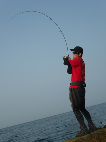 u52x4fx33vixkkmywpo5_480_480-28f48132.jpg