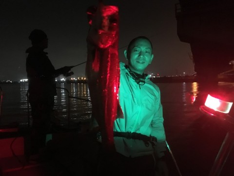 u538bkuun6t3tv4czcar_480_480-8941ffcb.jpg