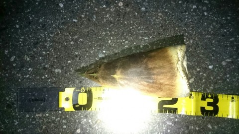 u5cuamrojdmezewcizvr_920_518-ef732e82.jpg