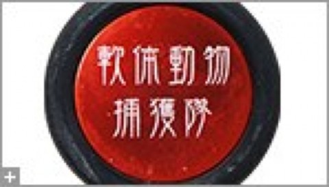 u5gtynxggj3v8m5gk8rm_920_525-9bd8627f.jpg