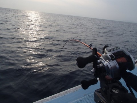 u5sey355m59pm58waomi_480_480-bf6ce08d.jpg