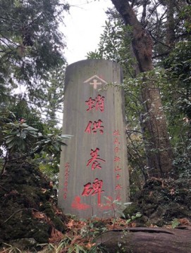 u5swcxiwmb42ejenkds5_361_480-dd91c28d.jpg