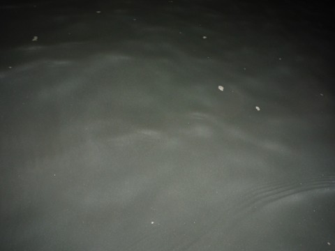 u5upcnc4ppgeyhtt6zit_920_690-a9ef4320.jpg
