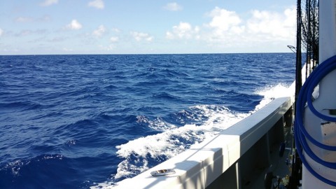 u65jxaom5kbh7sfwy33y_920_518-529d6e5b.jpg