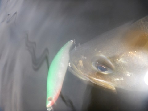 u66sojyb4gjuonbtgcp6_920_690-fce5831f.jpg