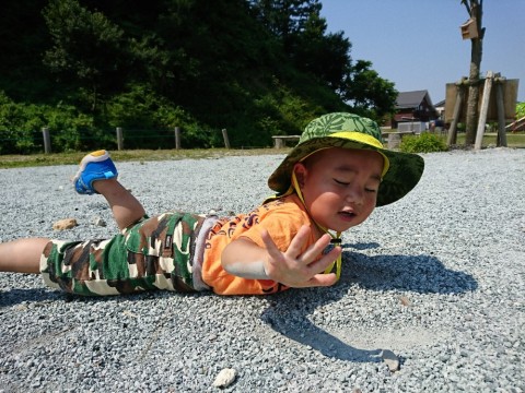 u6f7rd7yc3v2in2rxx3z_920_690-1093c5c6.jpg